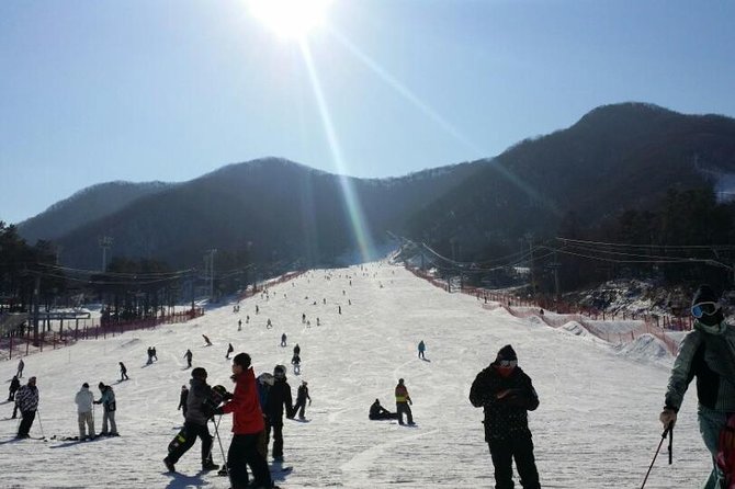 Ski Tour to Jisan Ski Resort from Seoul - Three ways to use your time on the mountain