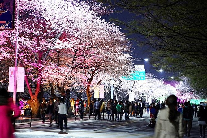 Small Group 7D Korea package Tour with Seoul Gyeongju Busan Jeju - Day 4: Silla-era Gyeongju and the KTX to Seoul