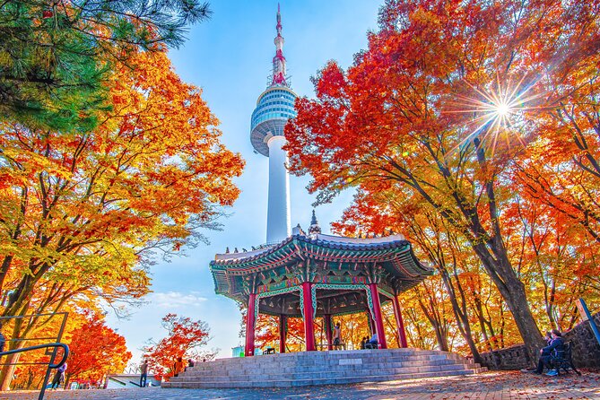 Small Group (7pax) Seoul Tour with Pickup/Dropoff (No Shopping) - A compact route through Seoul’s old and modern sides