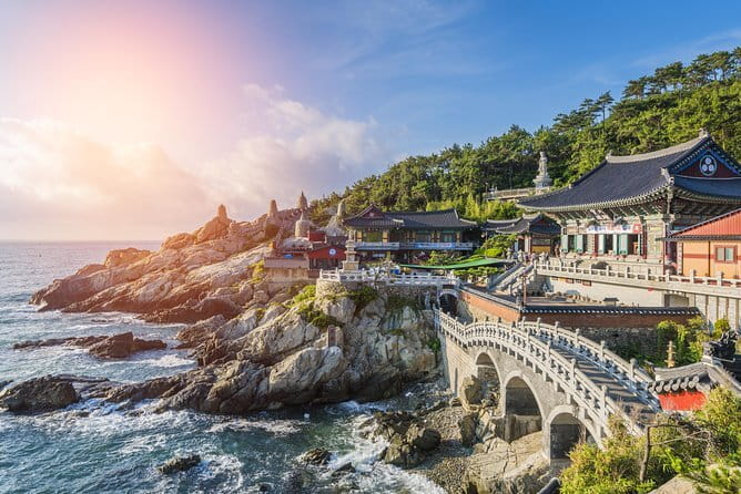 Small Group Busan Must-see Tour Opt. Songdo Ocean Cable Car - BIFF Square, Gukje Market, and Jagalchi Market