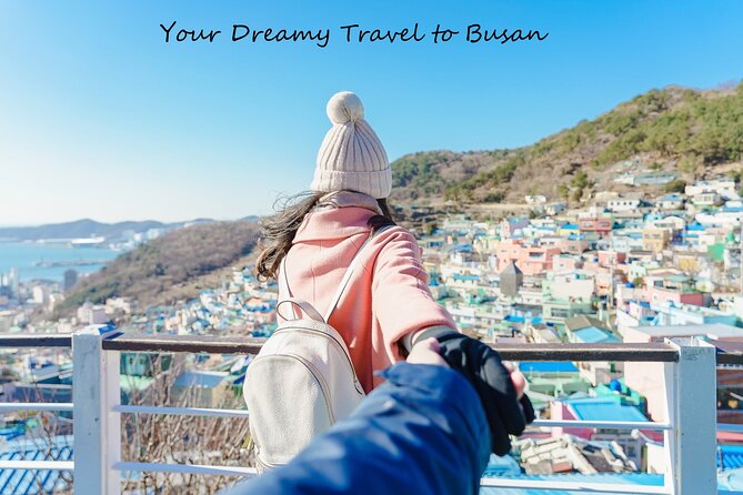 Small Group Discover Busan Tour with hotel pickup and dropoff
