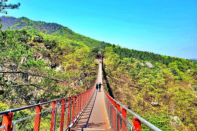 Small-Group DMZ Tour w/ North Korea Experience Hall & Susp.Bridge - Unification Village and the meaning of the DMZ