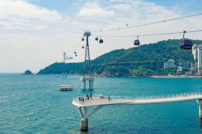 Small Group Full Day Busan Tour (Max 6 Pax) - Jagalchi Market and the best lunch decision of the day