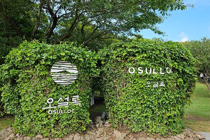Small group Jeju private Full-Day Tour of East and South and West - O’sulloc Tea Museum and Jeju’s Green Fields