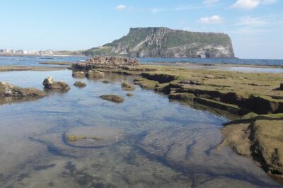 Small group Private Taxi Tour DAY experience in Jeju island