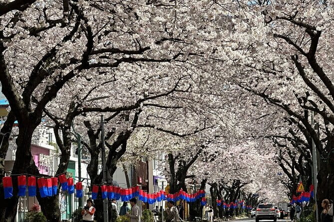 Small Group Tour East Jeju Cherry Blossom & Woman Diver Show - Why this East Jeju day works well in spring