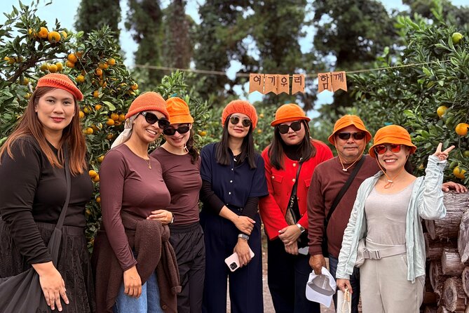 Small Group Tour for Jeju Fall Pink Muhly, Tangerines & Mt. Halla - Why this Jeju day trip works in autumn