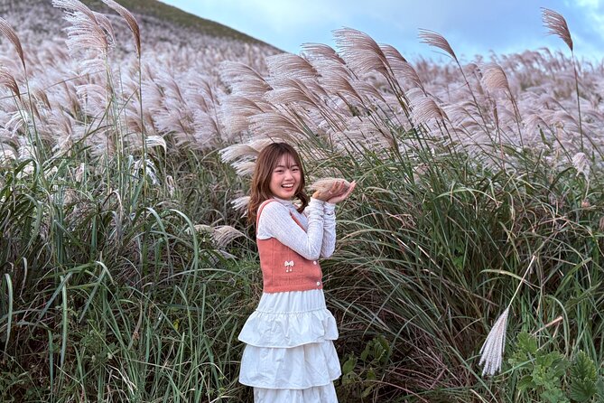 Small Group Tour for Jeju Fall Pink Muhly, Tangerines & Mt. Halla - Picking Jeju tangerines by hand