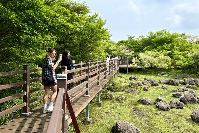 Small Group Tour for Jeju Fall Pink Muhly, Tangerines & Mt. Halla - Green tea and matcha at O’sulloc