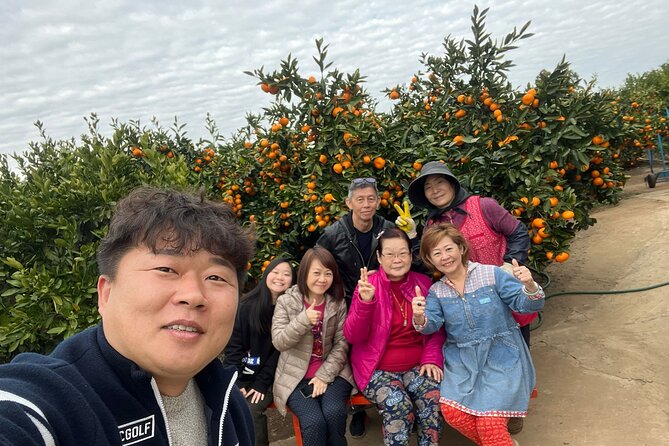 Small group tour FULL - PACKAGE Tour to All Areas in Jeju Island - Key Points Before You Book