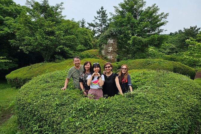 Small group tour FULL - PACKAGE Tour to All Areas in Jeju Island - Jusangjeolli Cliff and the Power of Basalt