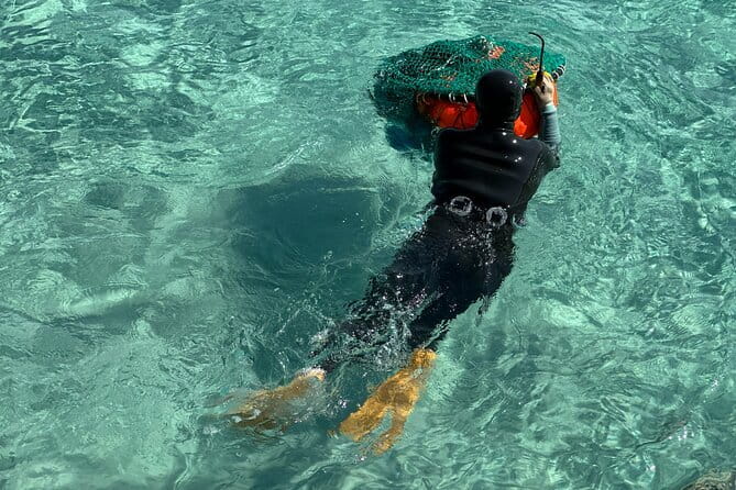 Small Group Tour in East Jeju Healing Island w/Woman Divers Show - Why this Jeju day works so well