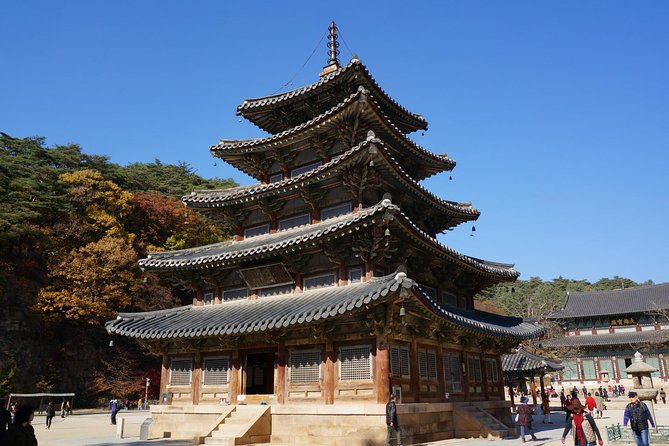 Songnisan National Park & Beopjusa Temple UNESCO site Private Tour - Why this Seoul day trip takes you far beyond the city