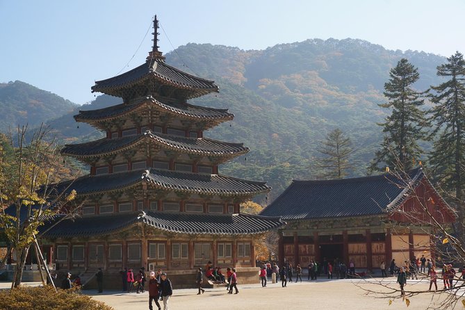 Songnisan National Park & Beopjusa Temple UNESCO site Private Tour - Lunch is simple, practical, and served late