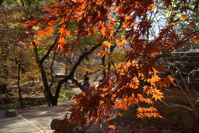 Songnisan National Park & Beopjusa Temple UNESCO site Private Tour - Guide Kim’s personal approach adds real value