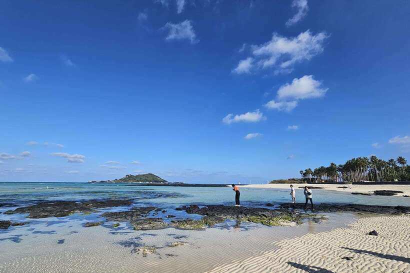 South-West Jeju Essentials: Hallasan & Signature Highlights - Guides, transport, and the human side of the day