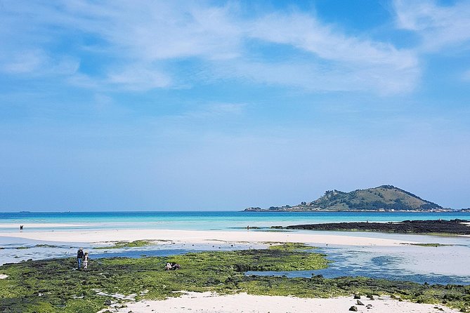 South-West Jeju Essentials: Hallasan & Signature Highlights - Jusangjeolli Cliff and Jeju’s lava-made coast