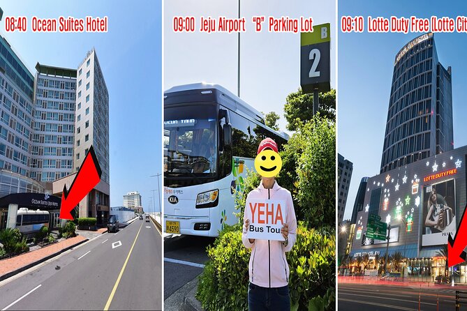 South-West Jeju Essentials: Hallasan & Signature Highlights - O’sulloc Tea Museum and an easy lunch break