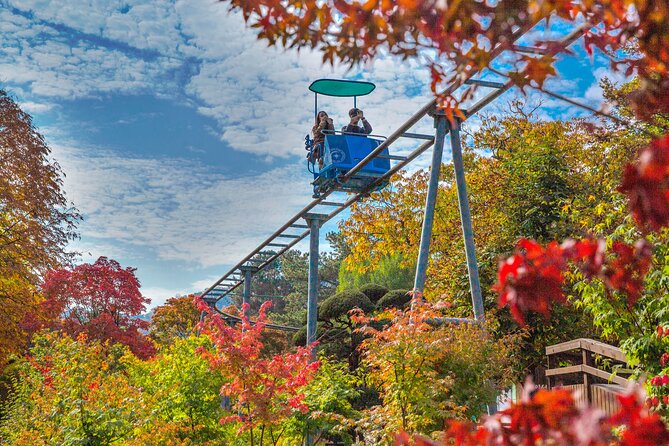 Special Private Tour Nami Island, Rail Bike, Petite France - The drive from Seoul to Nami Island