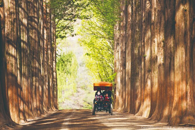 Special Private Tour Nami Island, Rail Bike, Petite France - Gangchon Rail Bike crosses the Bukhangang River