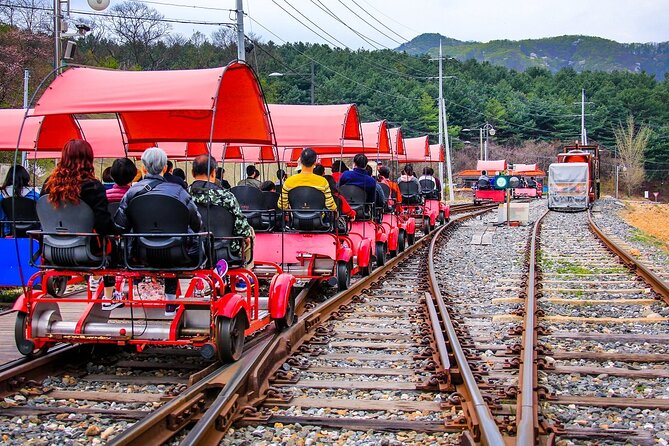 Special Private Tour Nami Island, Rail Bike, Petite France - The private format and guide service