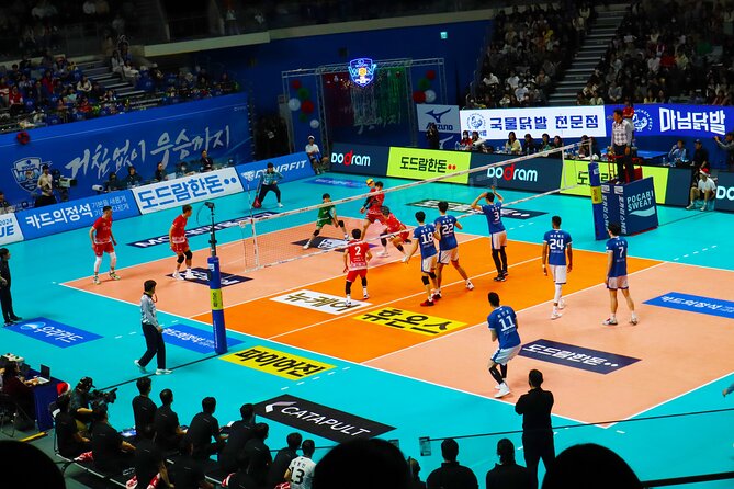 Sports Match in Seoul with Guided K-Food Experience - Is $69.38 a Fair Price?