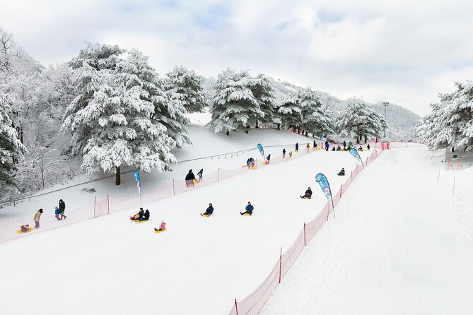 Strawberry Picking, Winter Sled with Eobi Ice Valley from Seoul - What to bring and how to prepare