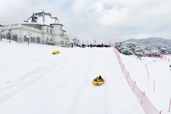 Strawberry Picking, Winter Sled with Eobi Ice Valley from Seoul - Is $79.05 a fair price?