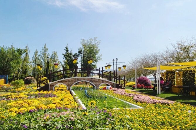 Suncheon one day tour from Seoul, Busan or Suncheon - Suncheon Bay Wetland Reserve and the reed country