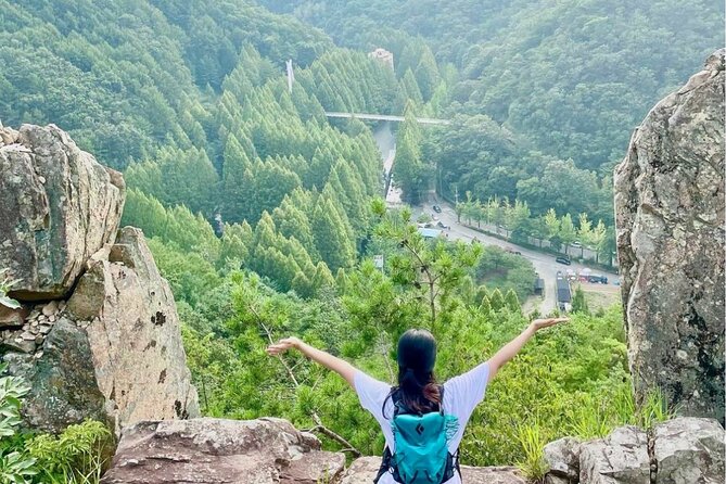 Suwon Hwaseong Fortress & Jangtaesan Full-Day Tour: Autumn Leaves - Suwon Hwaseong Fortress and its wide views