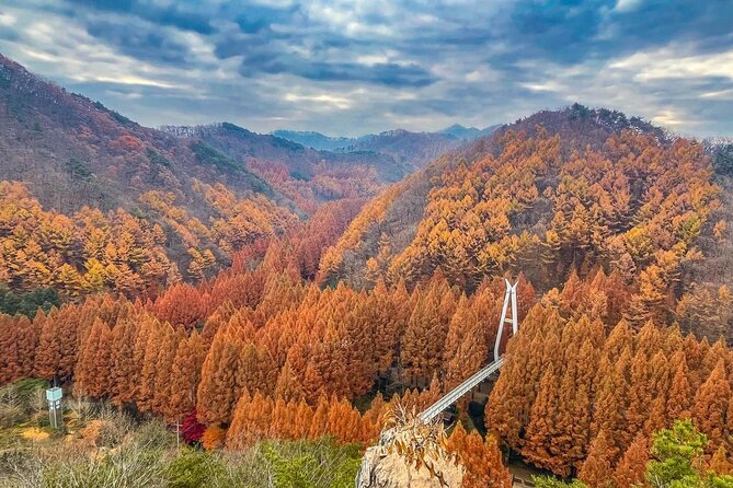 Suwon Hwaseong Fortress & Jangtaesan Full-Day Tour: Autumn Leaves - Who should book this day trip?