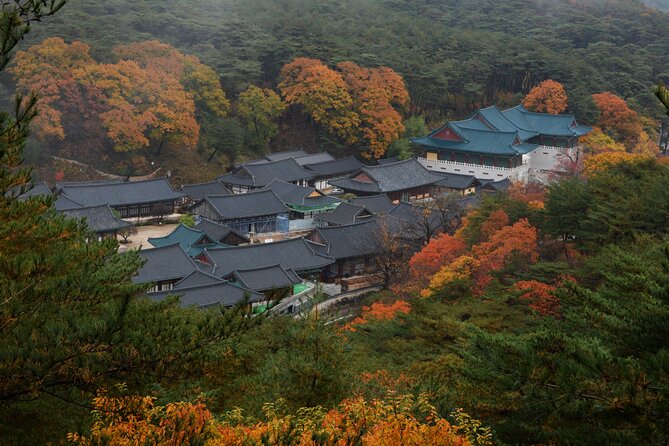 UNESCO Tongdosa Temple + Gourmet Eonyang Style Bulgogi Lunch - What the guide adds to the temple visit
