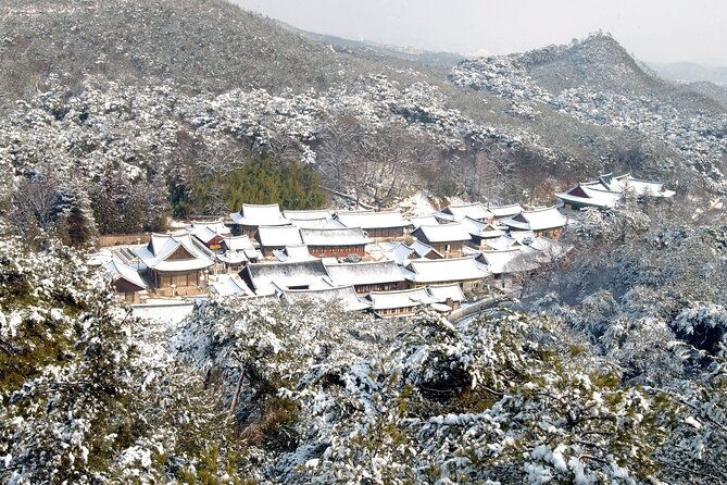 UNESCO Tongdosa Temple + Gourmet Eonyang Style Bulgogi Lunch - Timing, comfort, and the real length of the day