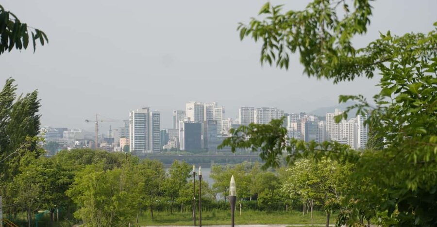 Unique Native Experience : Han River Picnic, Board game, BBQ - Why this Han River outing feels different from a standard city tour