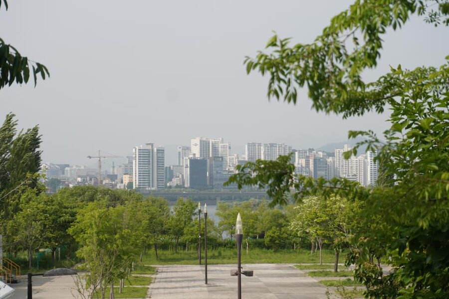 Unique Native Experience : Han River Picnic, Board game, BBQ - Starting with Korean phrases you can actually use