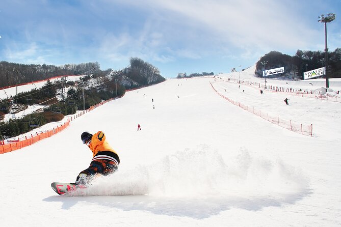 Vivaldi Park Winter Ski Resort with Nami Island Tour from Seoul - Why this Seoul winter trip works