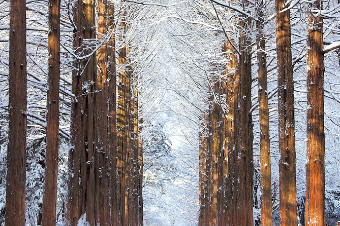 Vivaldi Park Winter Ski Resort with Nami Island Tour from Seoul - What the rental package really includes