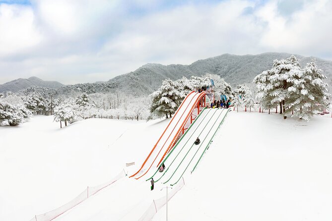 Vivaldi Park Winter Ski Resort with Nami Island Tour from Seoul - Choosing between five activity packages
