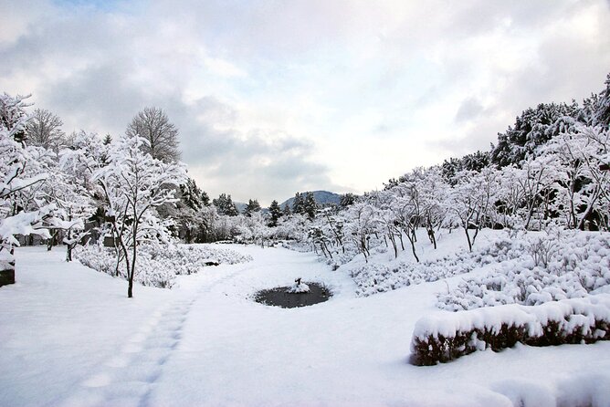 Vivaldi Park Winter Ski Resort with Nami Island Tour from Seoul - Nami Island after the ski slopes