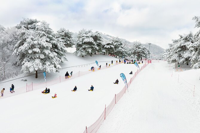Vivaldi Park Winter Ski Resort with Nami Island Tour from Seoul - The long day and possible timing snags