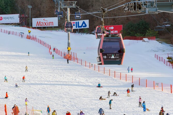 Vivaldi Park Winter Ski with Eobi Ice Valley Day Tour from Seoul - Choosing between ski, snowboard, sled, and sightseeing