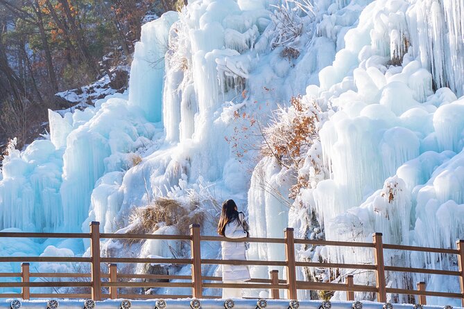 Vivaldi Park Winter Ski with Eobi Ice Valley Day Tour from Seoul - Who will get the most from this tour