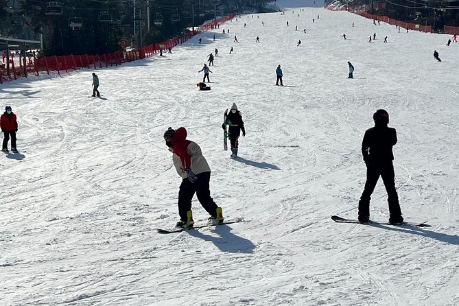 Yongpyong Ski Resort from Seoul with Optional Lesson and Packages - What the $99 price means in practice
